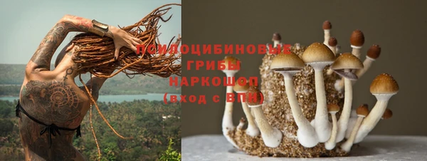 герыч Россошь