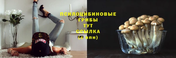 молекула духа Алексин