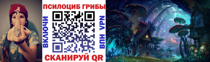 kraken зеркало  закладки  Жиздра  Псилоцибиновые грибы Magic Shrooms 