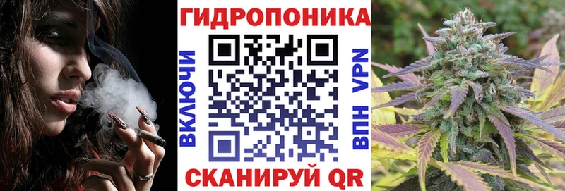 Конопля Ganja  гидра как войти  Жиздра 